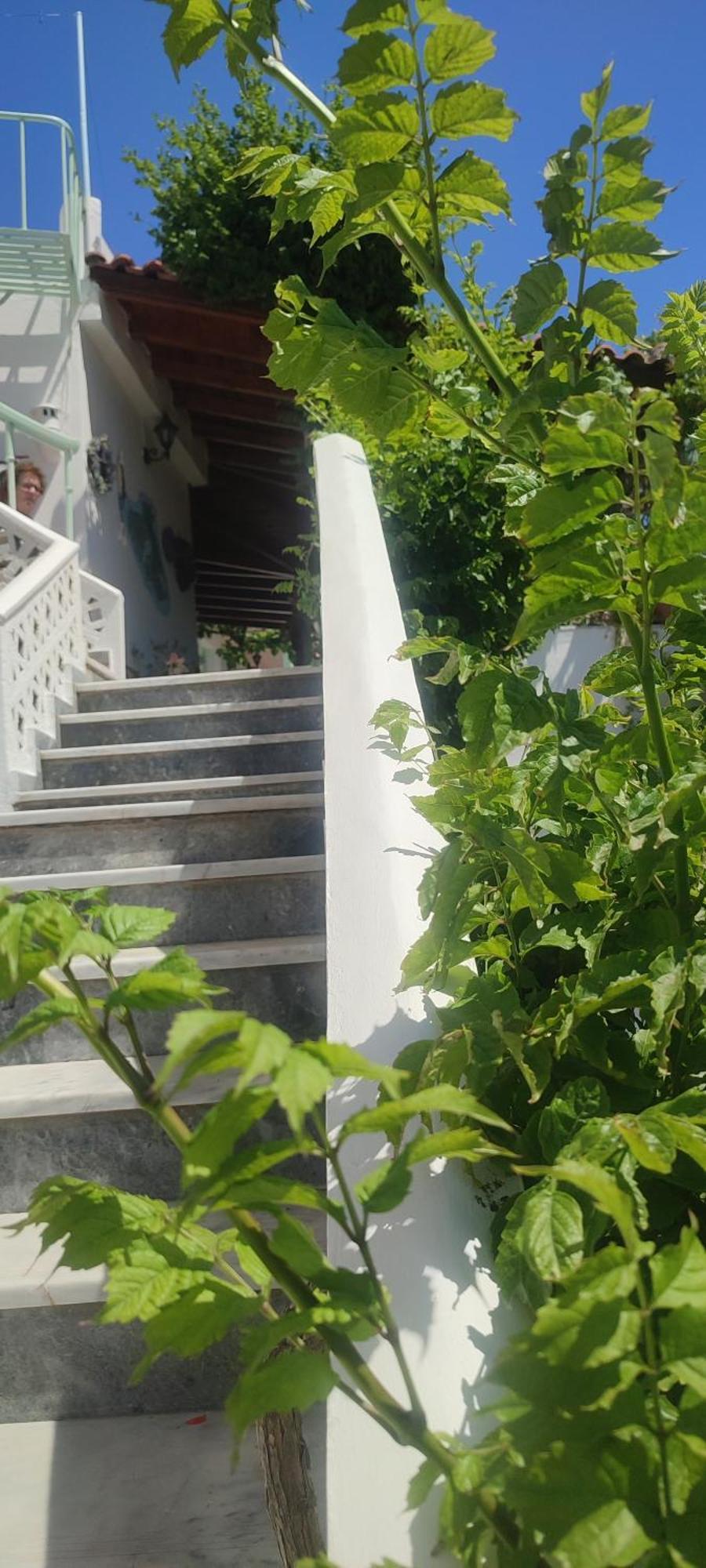 Krinelos Rooms Σκάλα Ερεσού Εξωτερικό φωτογραφία